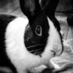 Meet your Posher, Cass